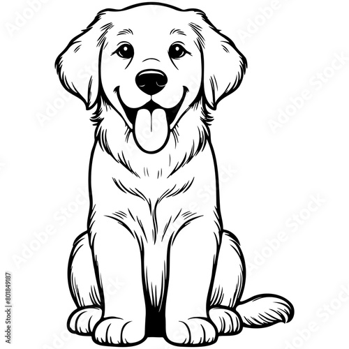Golden Retriever Dog Illustration.