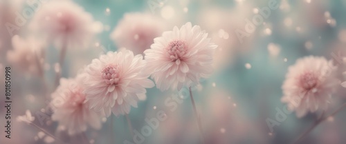 Dreamy pastel-colored floral background with delicate flowers and a blurred effect