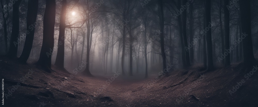 full moon in dark woods at night, fantasy forest panorama full moon in dark woods at night, fantasy forest panorama