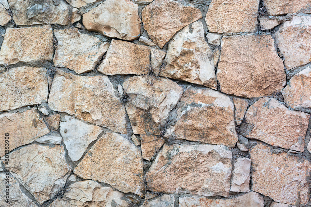 Obraz premium A wall built with stones of various sizes and colors, ranging from light beige to dark brown. The stones are irregular in shape and size, closely fitted together without any visible cement or mortar