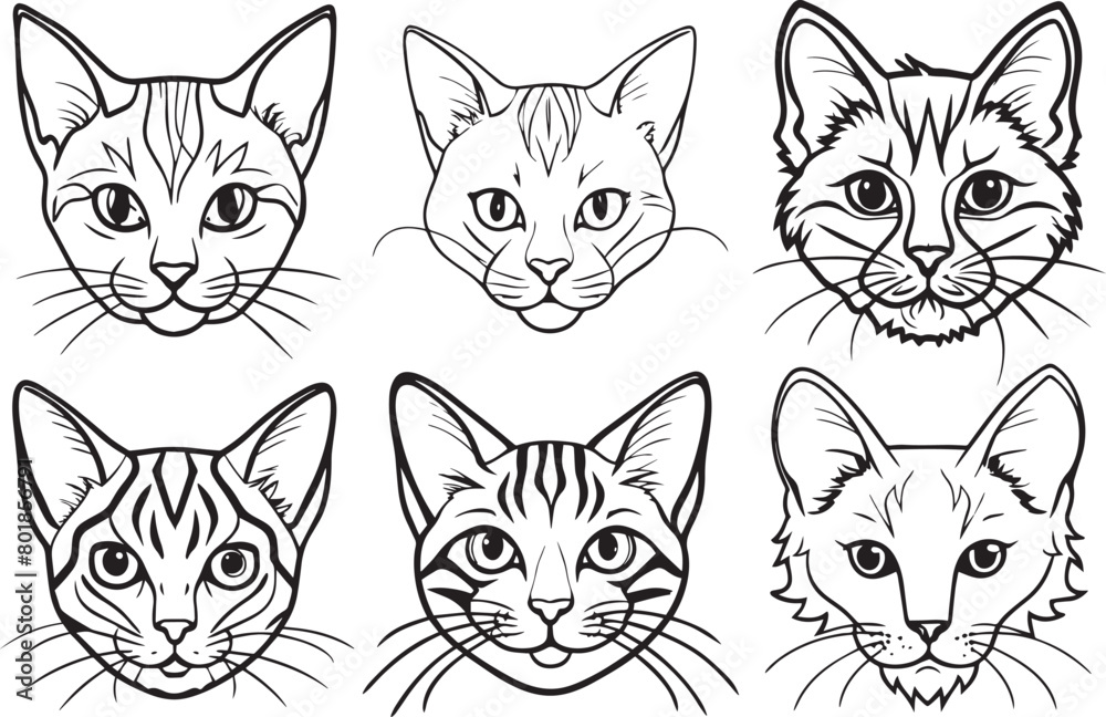 Set of cats heads, vector illustration in black and white colors.