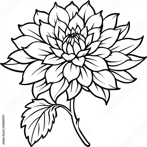Chrysanthemum flower plant outline illustration coloring book page design  Chrysanthemum flower plant black and white line art drawing coloring book pages for children and adults