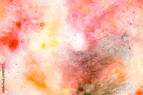 Abstract art with pink  red and yellow watercolour splashes and dots for creative background or wallpaper macro