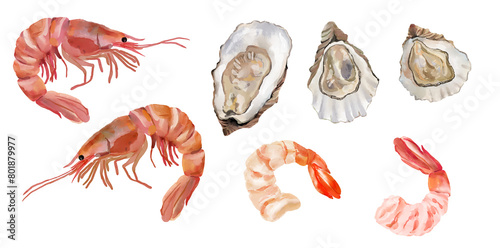 Seafood, digital watercolor illustrations set. Shrimp, oysters, lemon, isolated images on transparent background photo