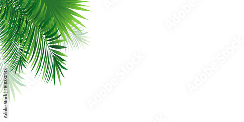 Amazon rainforest horizontal border frame. Vector illustration with beautiful tropic plant, coconut palms, lush monstera leaves. Summer, travelling designs, invitation and promo posters and wallpapers