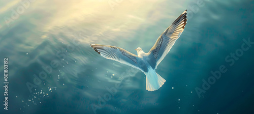 A seagull flies gracefully over the sea, its wings outstretched photo