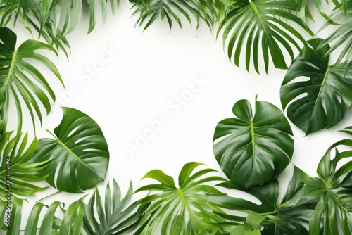 Bright and natural looking tropical leaves on a white canvas, offering a fresh and airy feel suitable for health and wellness ads,