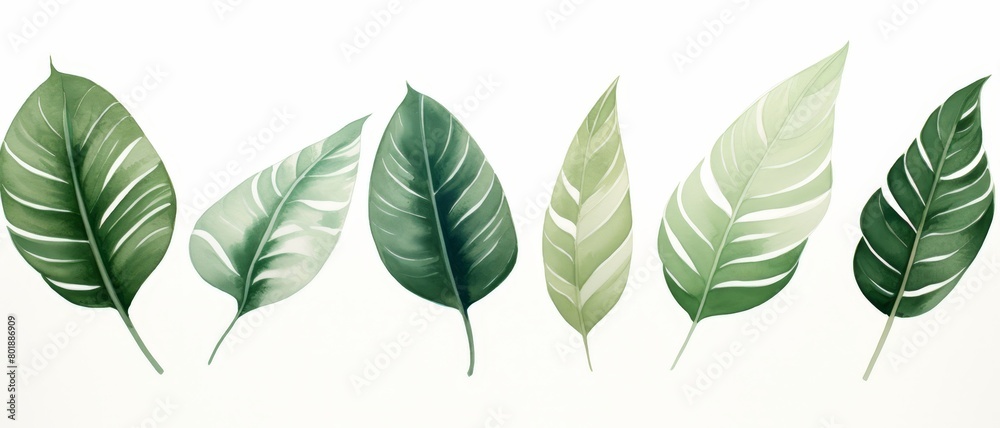 Minimalist tropical leaf composition on a white background, perfect for creating a tranquil and soothing visual for viewers, Minimalist tropical leaf composition on a white background, perfect for creating a tranquil and soothing visual for viewers,
