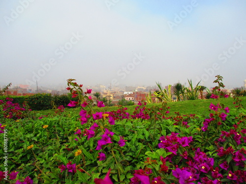 Al Azhar Park in Cairo in Egypt