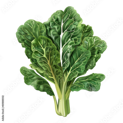 Swiss chard isolated on transparent background