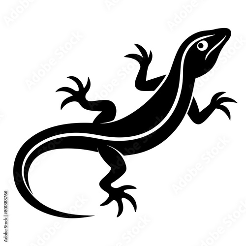 silhouette of a lizard