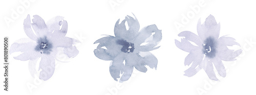 A set of watercolor light gray-blue flowers isolated on a white background, hand-drawn. Illustration of botanical elements for a holiday, decoration, wedding, label, decoration, design.