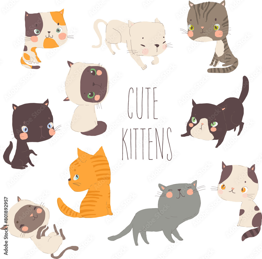 Vector Cartoon Set with Funny Cats on White Background