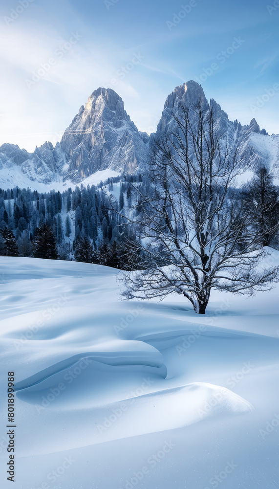 Obraz premium Snowy alpine landscape with a lone tree and mountain peak under blue sky.