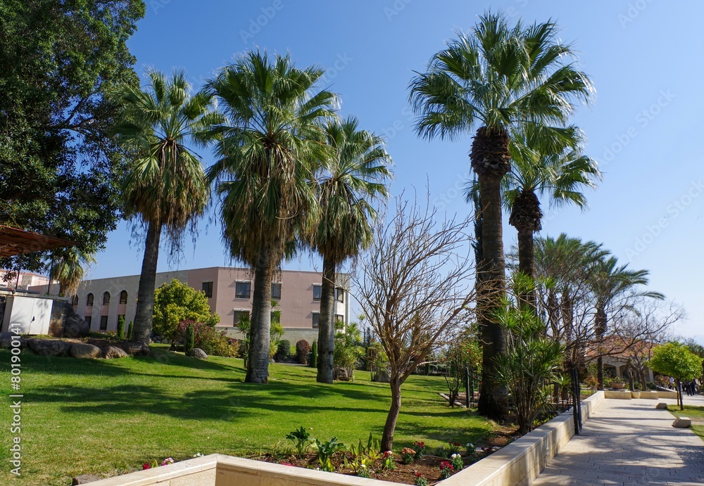 Beautiful palm garden. The hill of the Beatitudes near lake Tiberias in Israel, Catholic church of the Italian Franciscan convent . Biblical and pilgrimage site.
