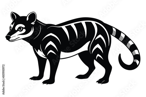 Solid color African Civet vector design