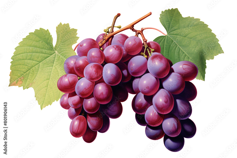 a bunch of grapes with leaves