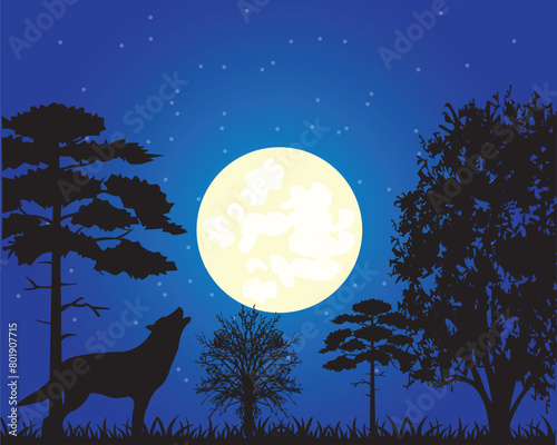 Moon night in wood and wolf on glade