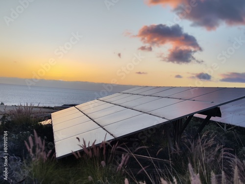solar panel field in a sunset by the sea.