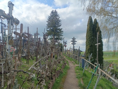 Hill of crosses. Crosses and rosemary on hill. Small hill. Loads of crosses. Few trees. Sunny day. Summer season. Monument. Siauliai. Kryziu kalnas Siauliuose. photo