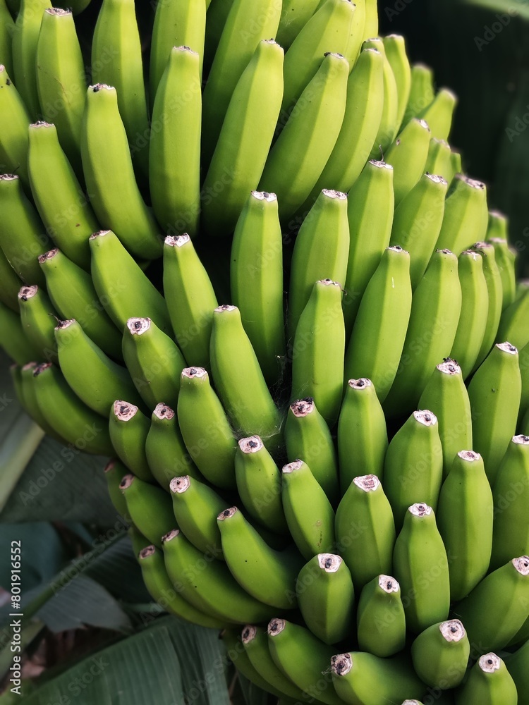 bananas on the market