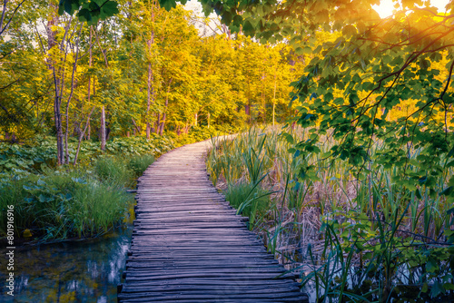 Wooden walkpath in Plitvice National Park. Calm summer sunrise in green forest with pure water lake. SMarvelous landscape of Croatia, Europe. Beauty of nature concept background. photo