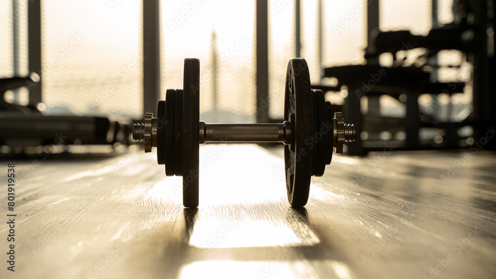 barbell or dumbbells in the gym in the sunlight