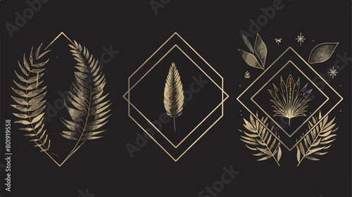 Set of geometrics golden frames and leafs Vector illustration