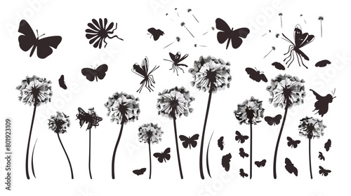 Silhouette set collection dandelion and fly petals vector