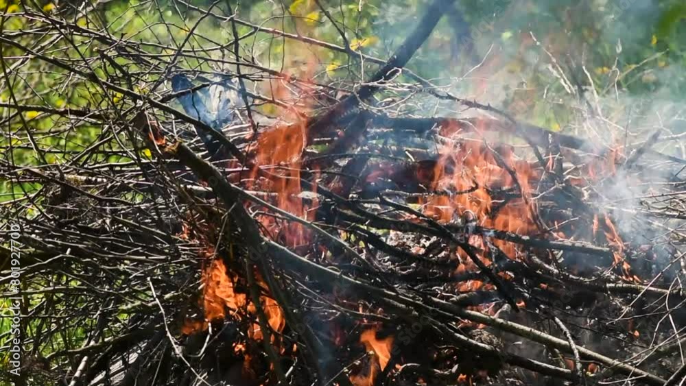 A bonfire burns. Close-up of flames. Summer evening. Slow motion. Close up of wood burning and fire A bonfire burns. Close-up of flames. Summer evening. Slow motion. Close up of wood burning and fire