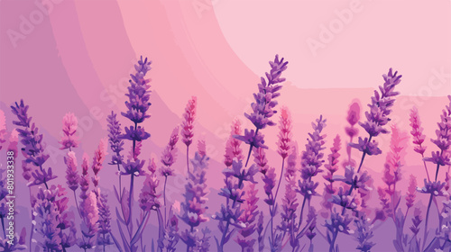 Beautiful lavender flowers on color background Vector