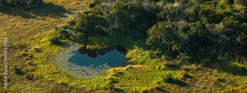 highlighting successful wildlife conservation and biodiversity maintenance, Aerial view of a protected natural area.