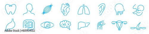 Human Body Line Editable stroke Icons set. Human internal organ. Medical Specialties. Icon collection vector. 