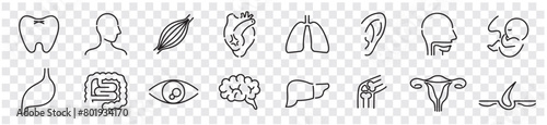 Human Body Line Editable stroke Icons set. Human internal organ. Medical Specialties. Icon collection vector. 