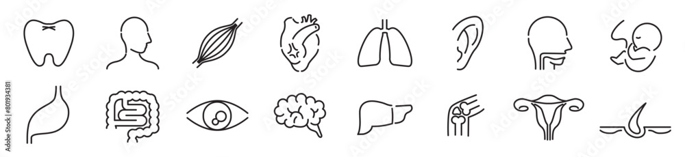 Human Body Line Editable stroke Icons set. Human internal organ. Medical Specialties. Icon collection vector. Human Body Line Editable stroke Icons set. Human internal organ. Medical Specialties. Icon collection vector.