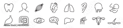 Human Body Line Editable stroke Icons set. Human internal organ. Medical Specialties. Icon collection vector. 