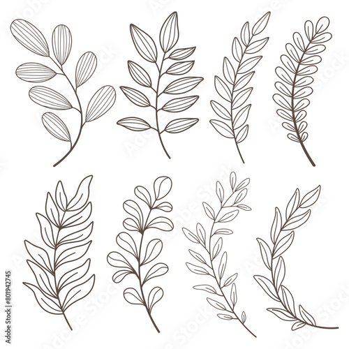 Set of leaves. Hand drawn decorative elements. Vector illustration © donnaya92