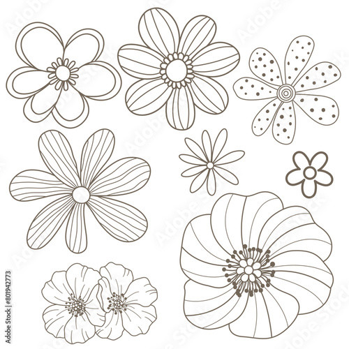 Set of flower Hand drawn decorative elements. Vector illustration