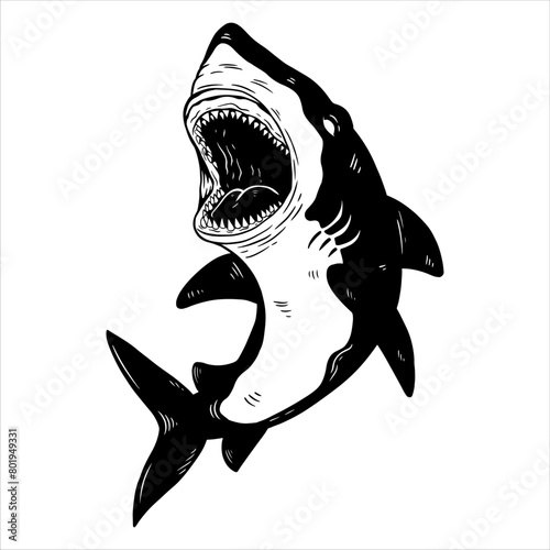 shark illustration best for tattoo or t-shirt design