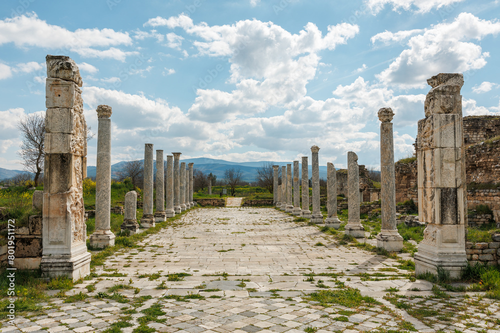 Stone Column Path at Aphrodisias, Aydın, Turkey