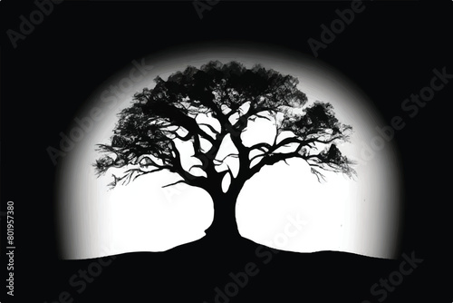 Tree silhouette isolated on white background. Black tree silhouette. Tree icon.  © Usama