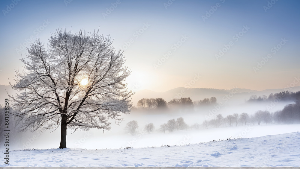 Beautiful view the wood in winter period Beautiful view the wood in winter period
