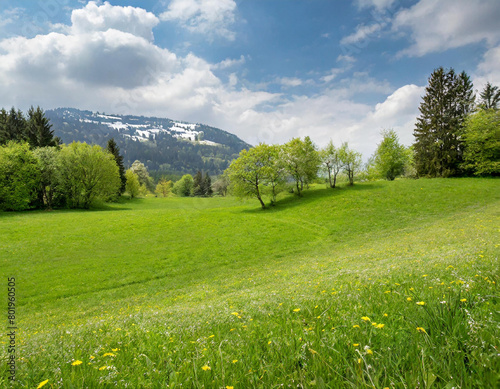 green meadow in spring background