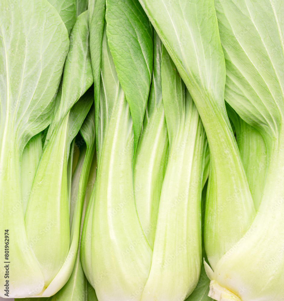 Fresh bok choy or chinese cabbage close up. Food background. Fresh bok choy or chinese cabbage close up. Food background.