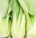 Fresh bok choy or chinese cabbage close up. Food background.