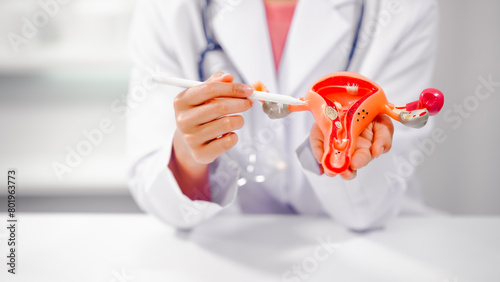 Konstfotografi Female doctor specializing in online consultations for reproductive health issue
