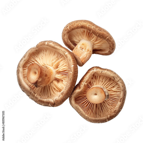 shiitake mushroom png