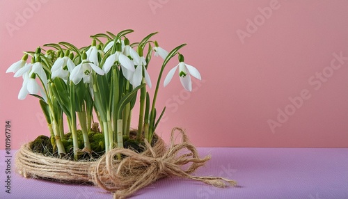 Graceful Simplicity: Snowdrops on Soft Pink Background