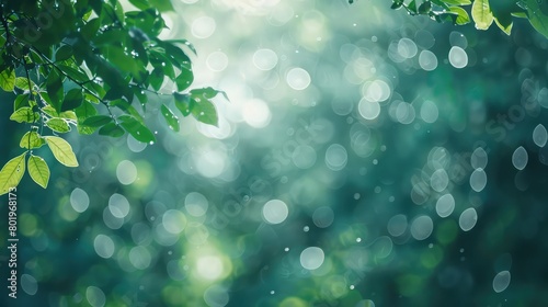 green bokeh background from nature under tree shade for graphic design,Abstract green bokeh out of focus background from tree in nature, Natural green bokeh background, leaves with light reflection
 photo