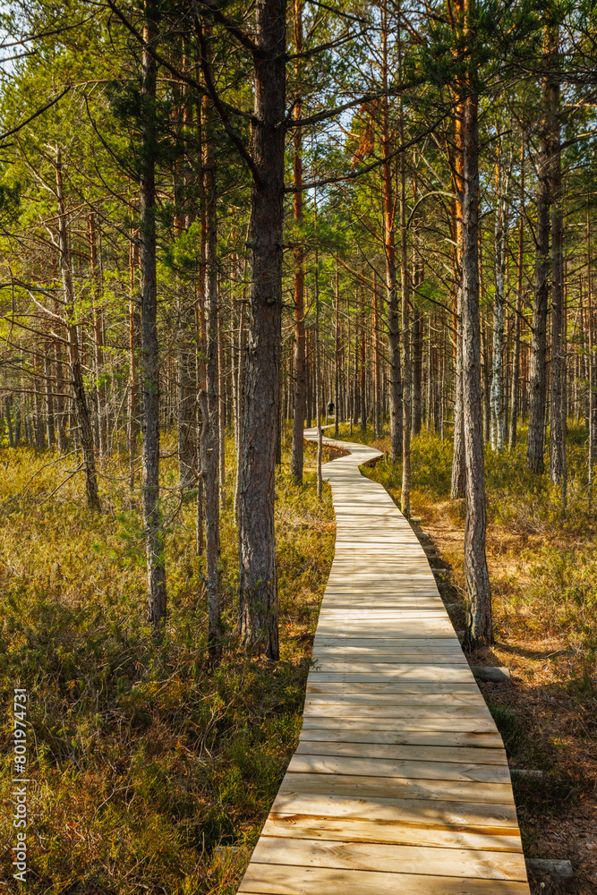 Viru Bog Viru Raba peat swamp, Estonia